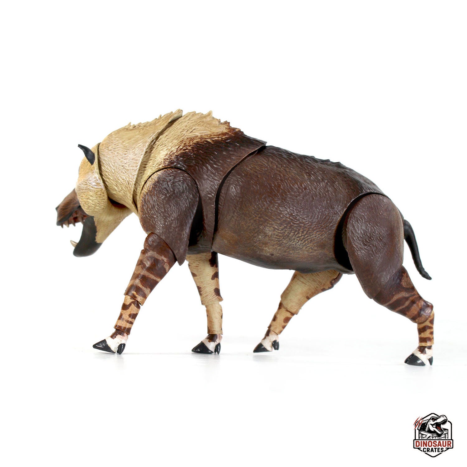 Andrewsarchus mongoliensis - Beasts of the Cenozoic