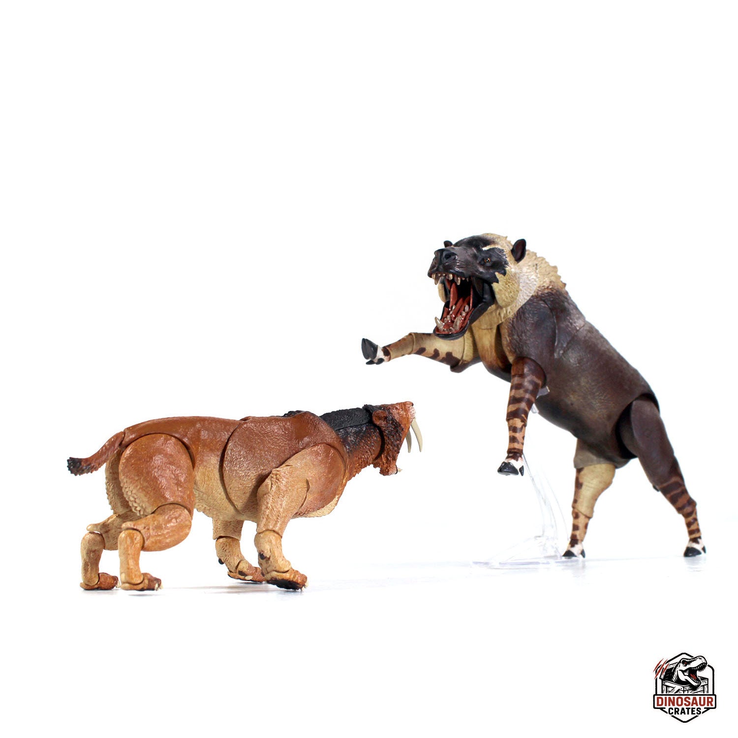 Andrewsarchus mongoliensis - Beasts of the Cenozoic