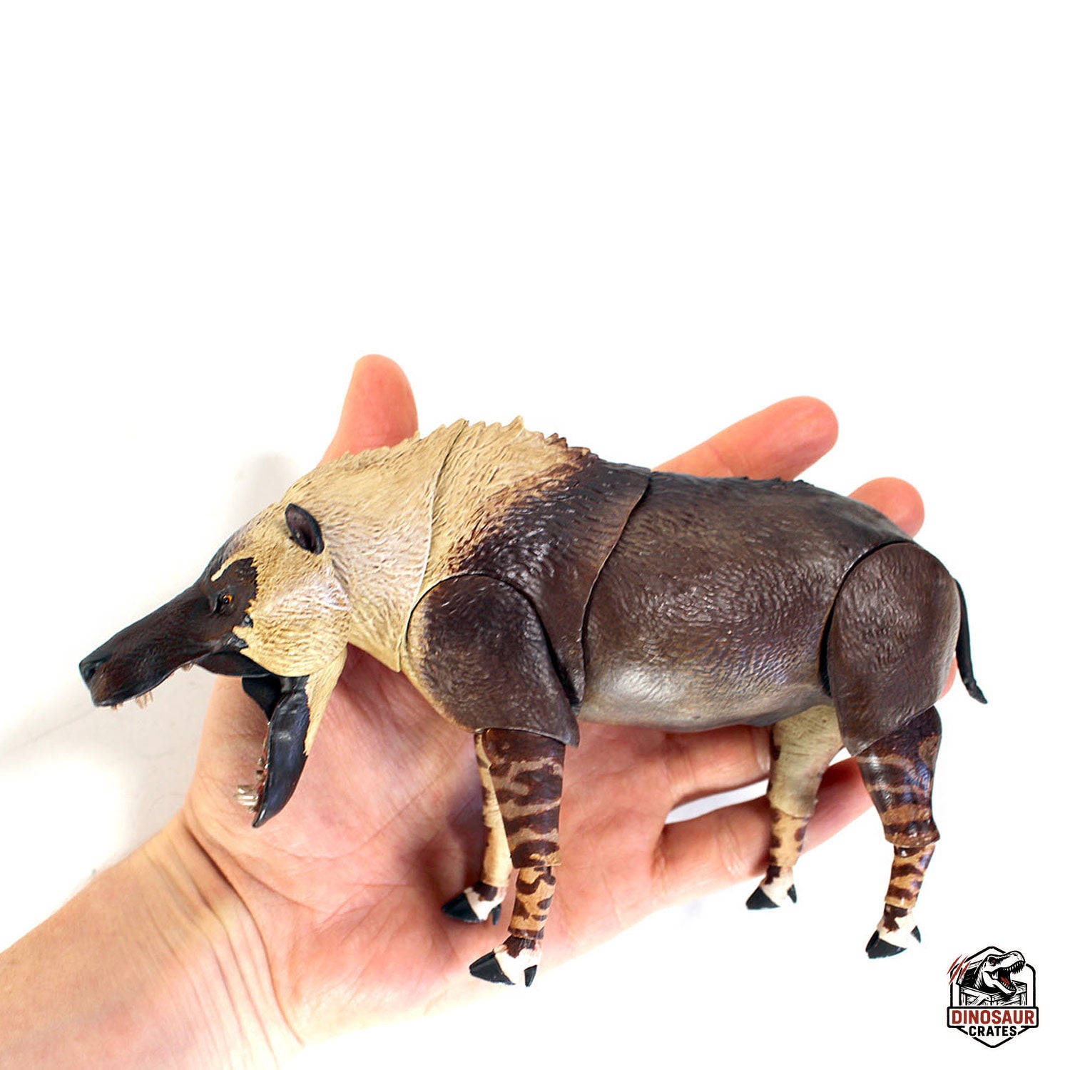 Andrewsarchus mongoliensis - Beasts of the Cenozoic