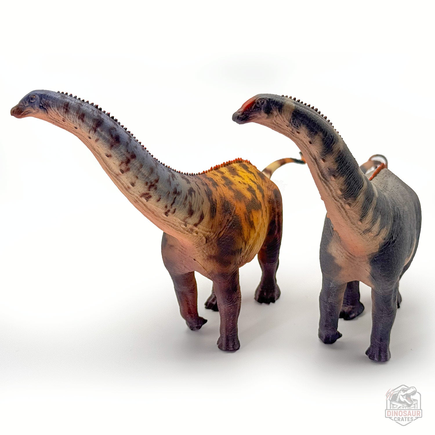 Haolonggood Brontosaurus Dinosaur Figure
