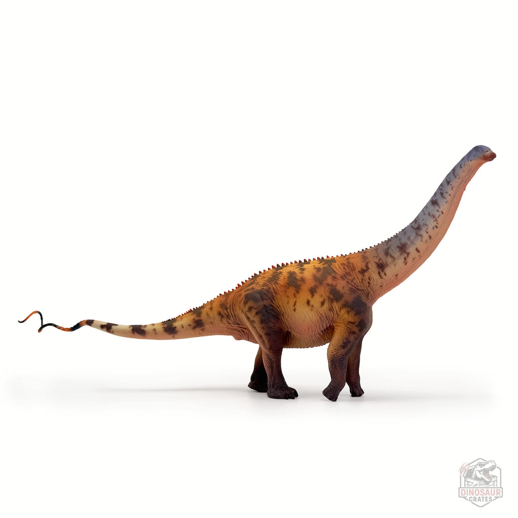 Haolonggood Brontosaurus Dinosaur Figure