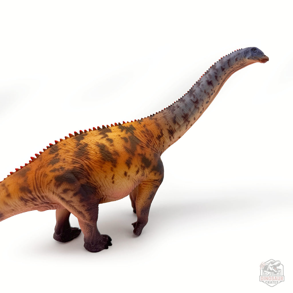 Haolonggood Brontosaurus Dinosaur Figure