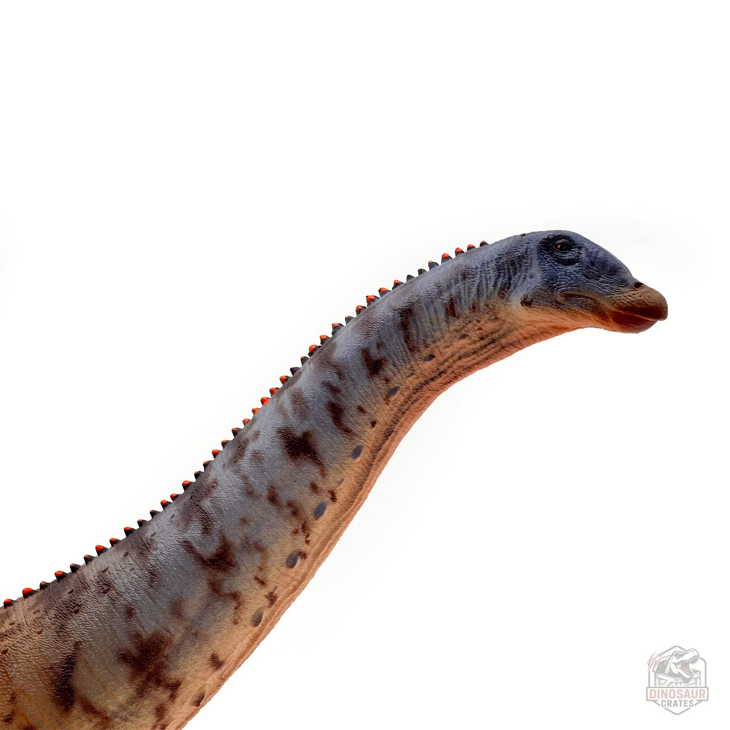 Haolonggood Brontosaurus Dinosaur Figure