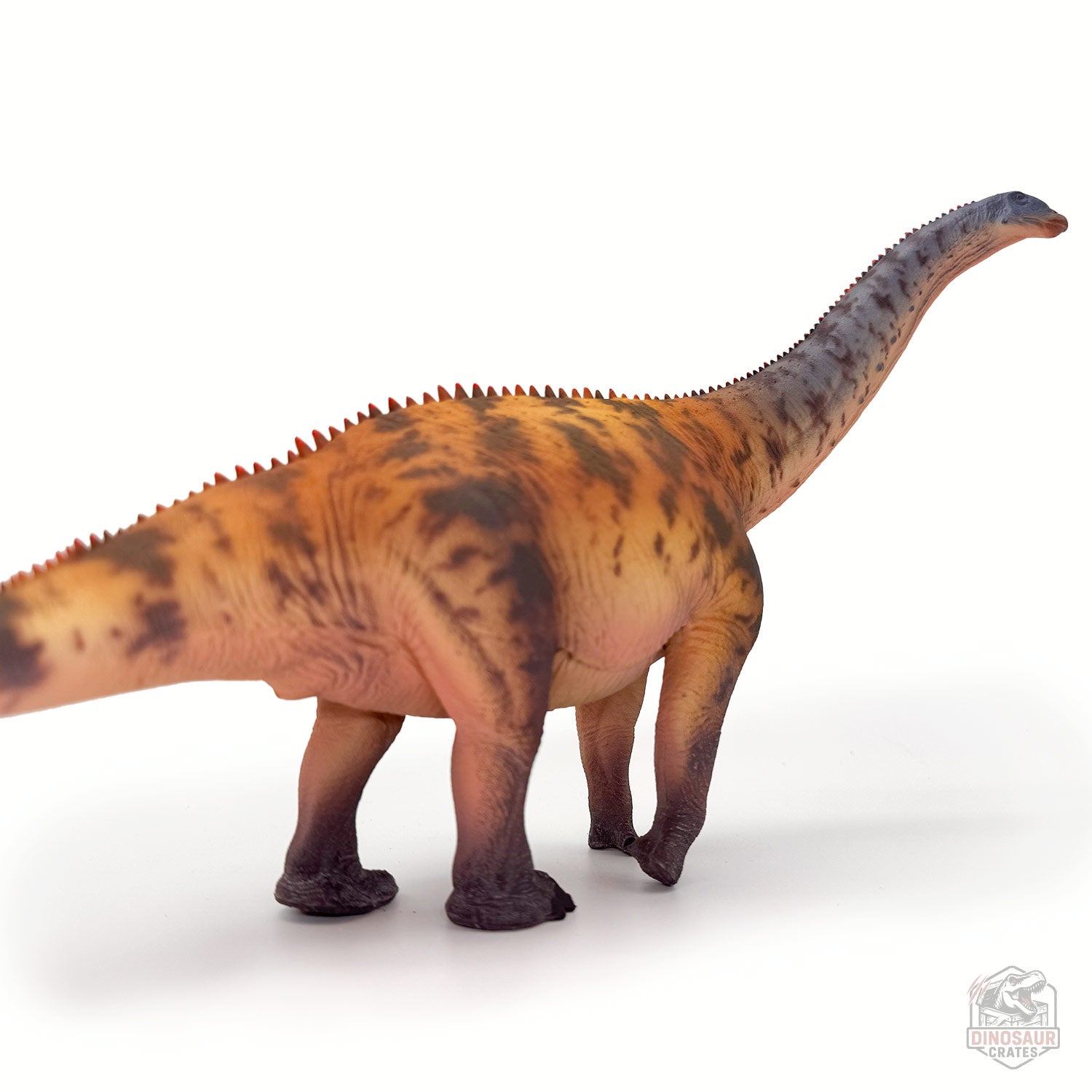 Haolonggood Brontosaurus Dinosaur Figure