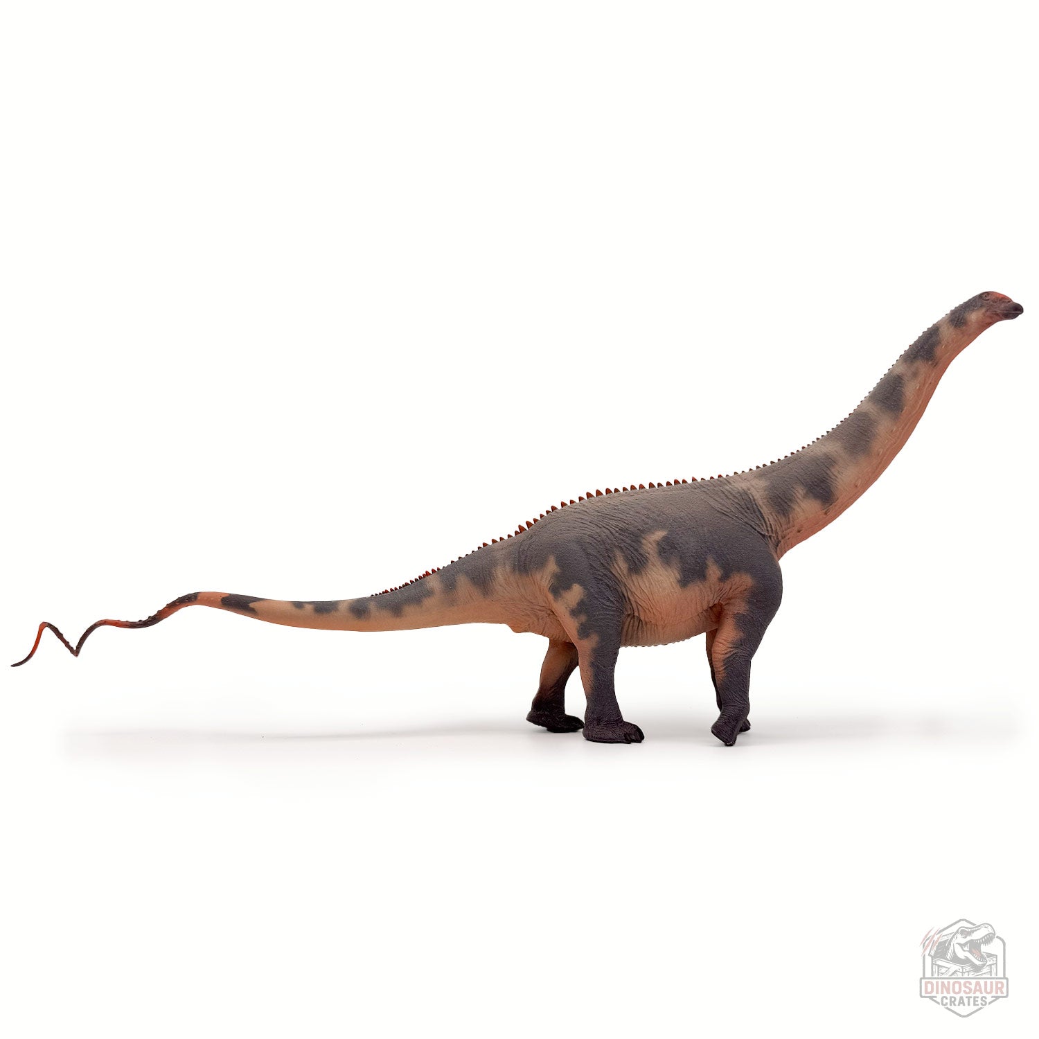 Haolonggood Brontosaurus Dinosaur Figure