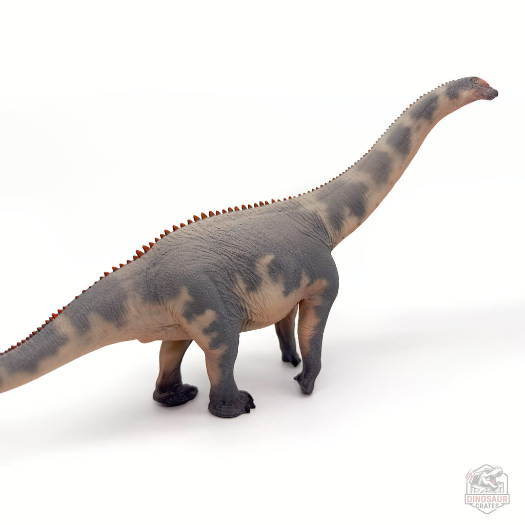 Haolonggood Brontosaurus Dinosaur Figure