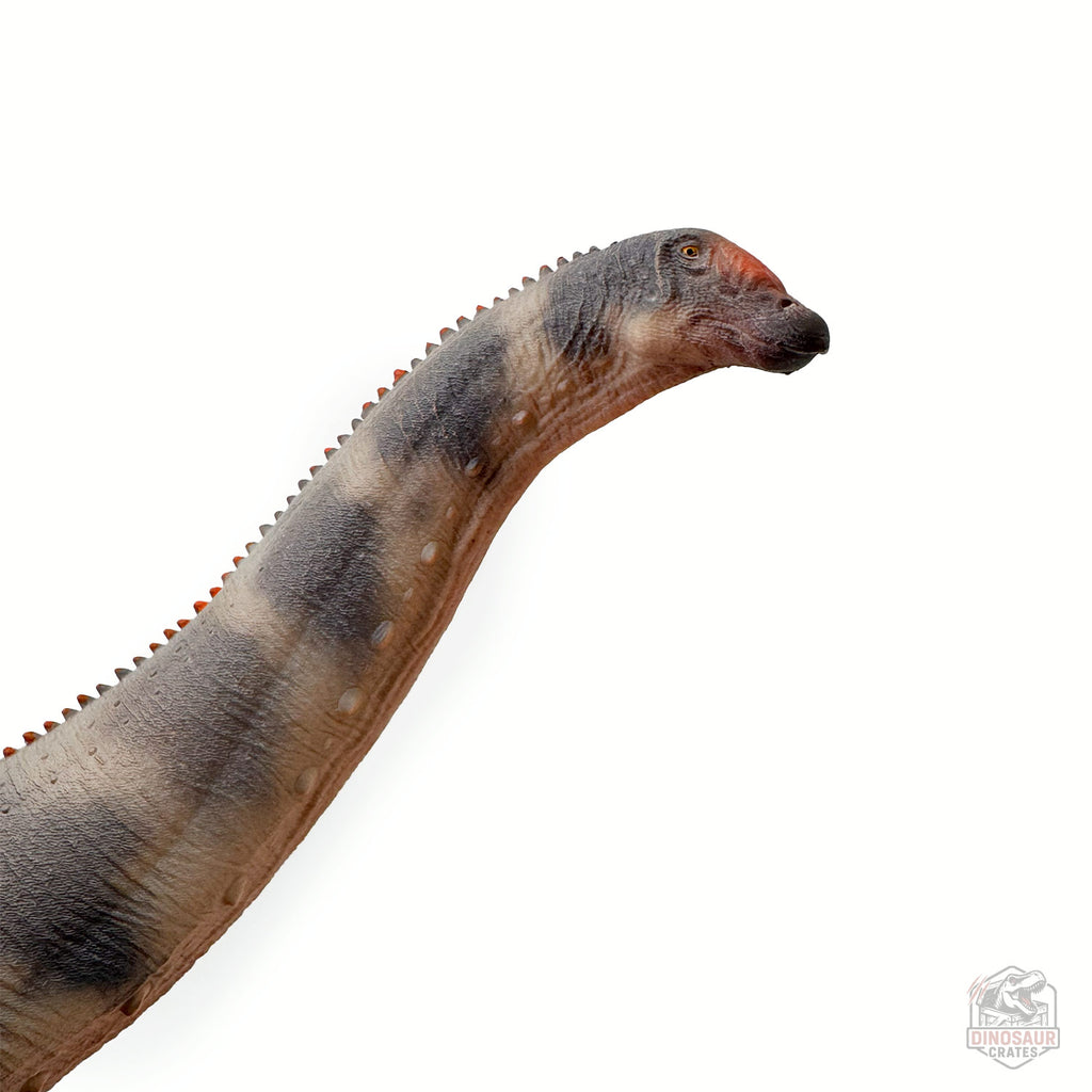 Haolonggood Brontosaurus Dinosaur Figure