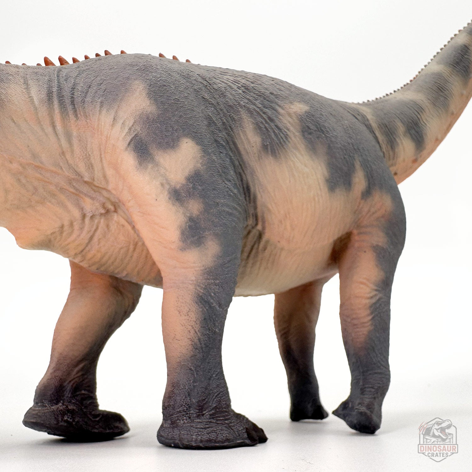 Haolonggood Brontosaurus Dinosaur Figure