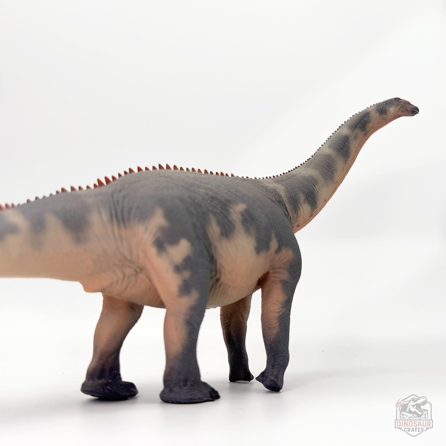 Haolonggood Brontosaurus Dinosaur Figure