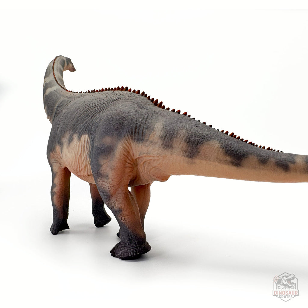 Haolonggood Brontosaurus Dinosaur Figure