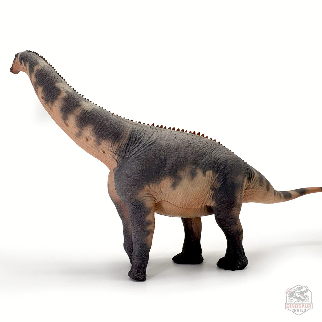 Haolonggood Brontosaurus Dinosaur Figure