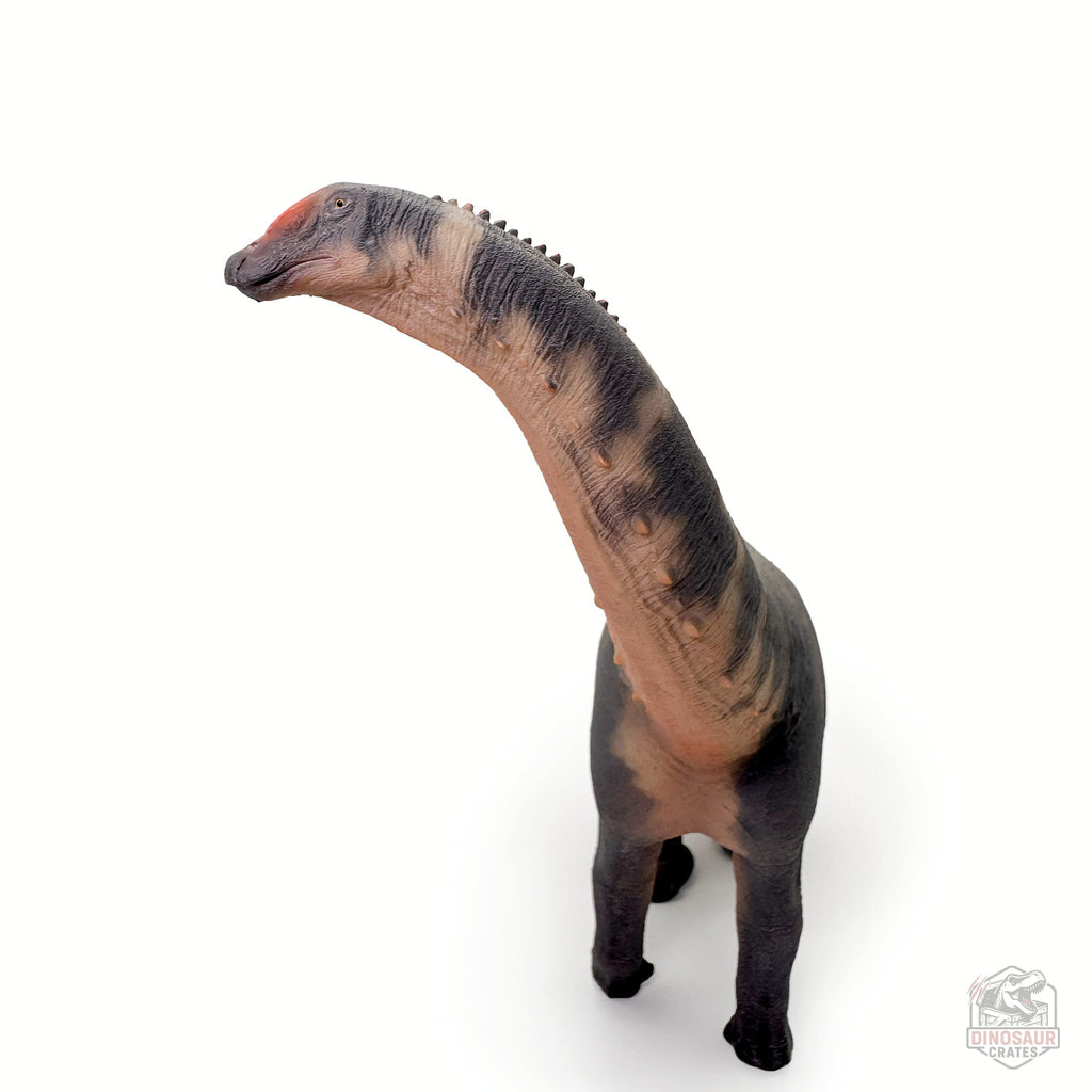 Haolonggood Brontosaurus Dinosaur Figure