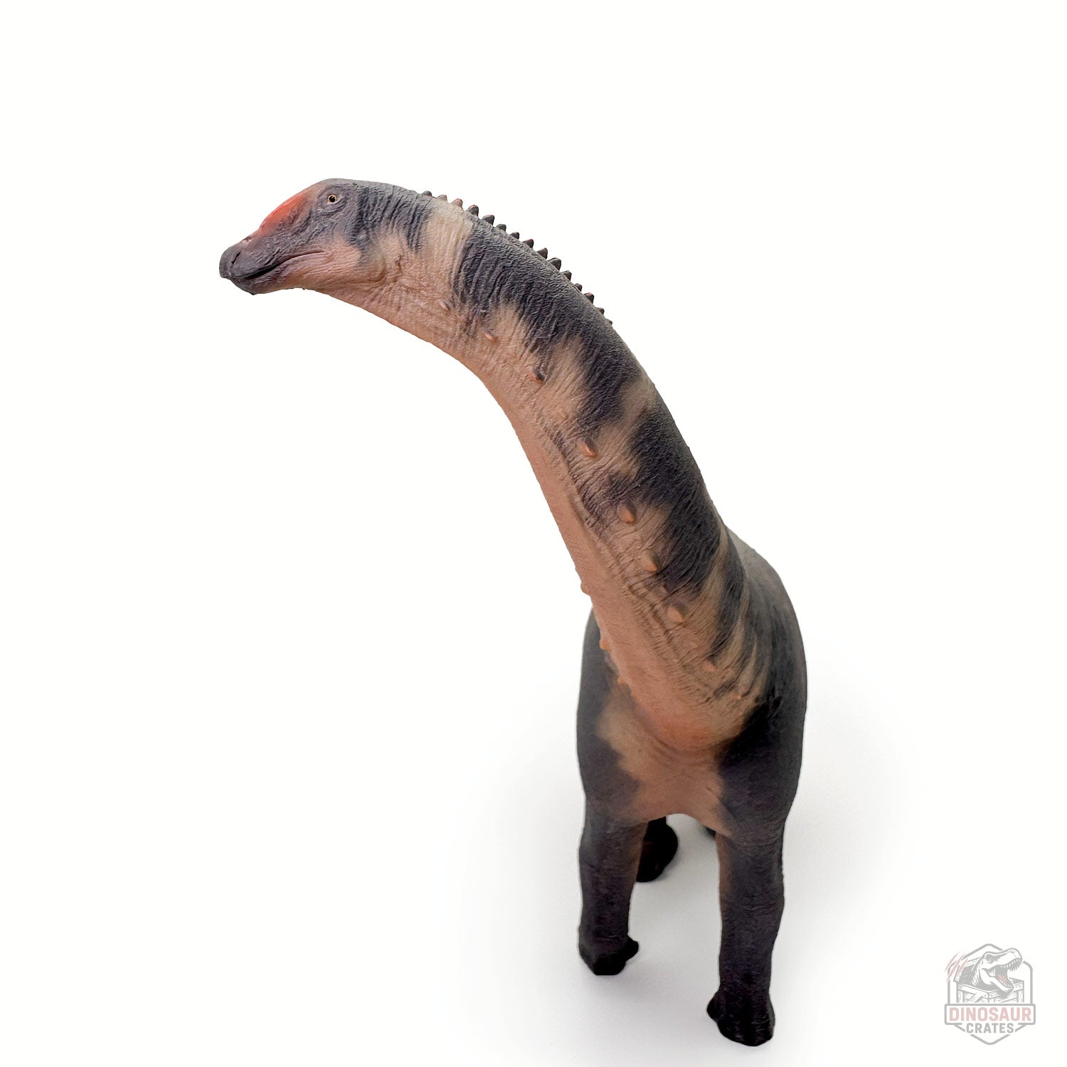 Haolonggood Brontosaurus Dinosaur Figure