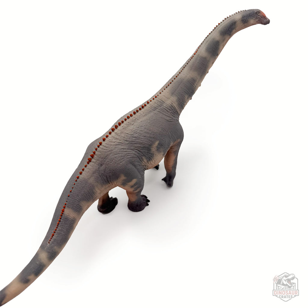 Haolonggood Brontosaurus Dinosaur Figure