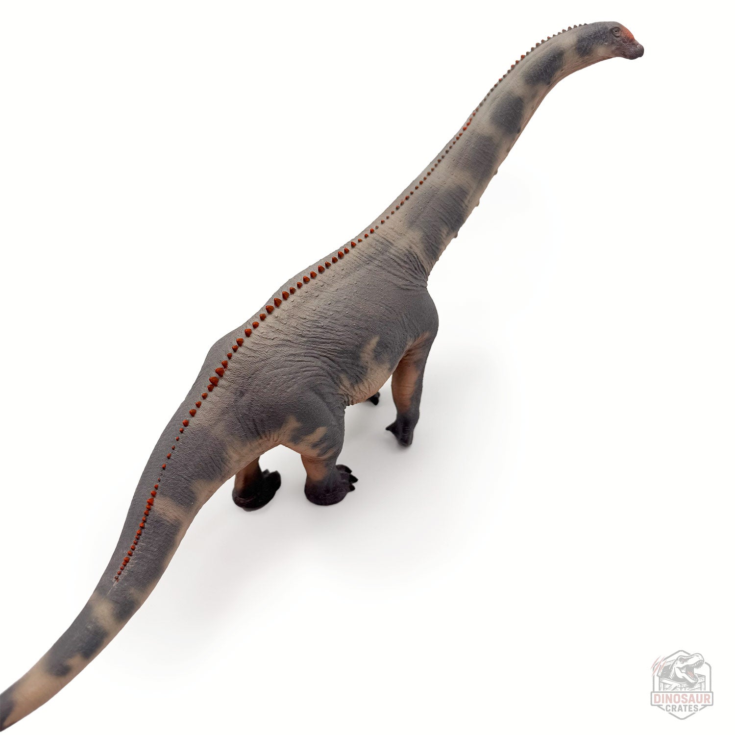 Haolonggood Brontosaurus Dinosaur Figure
