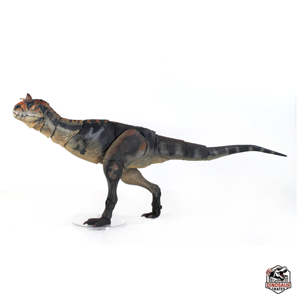 Carnotaurus Sastrei  – Beasts of the Cyberzoic (Pre-Order)
