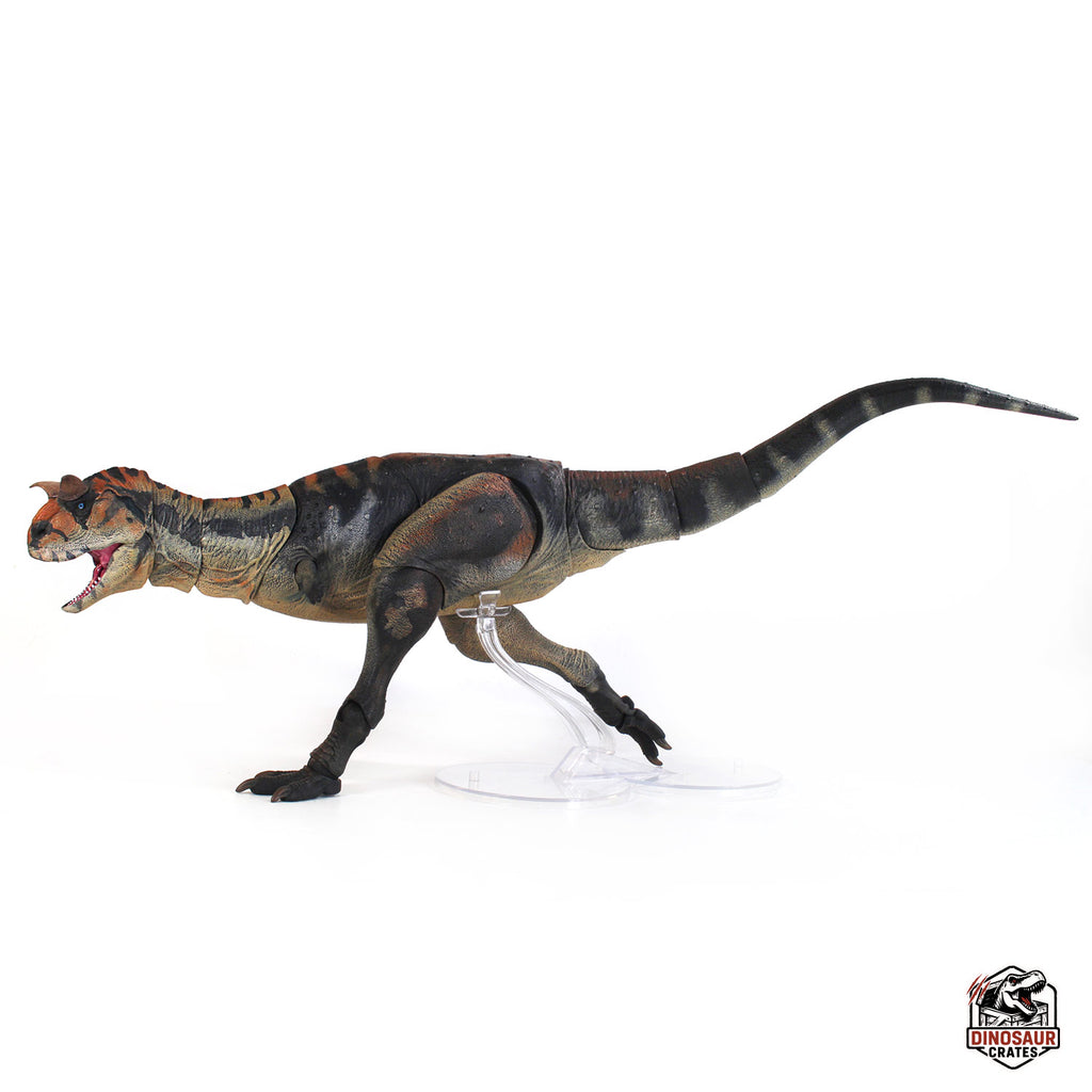 Carnotaurus Sastrei  – Beasts of the Cyberzoic (Pre-Order)