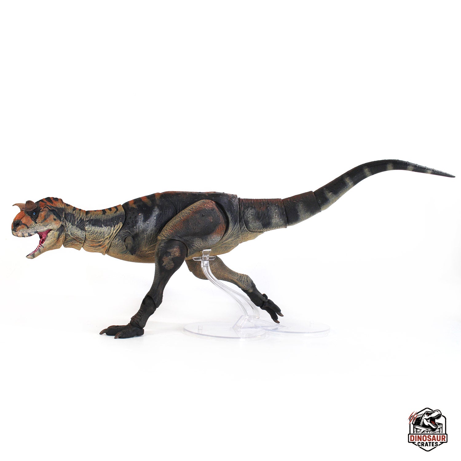 Carnotaurus Sastrei  – Beasts of the Cyberzoic (Pre-Order)