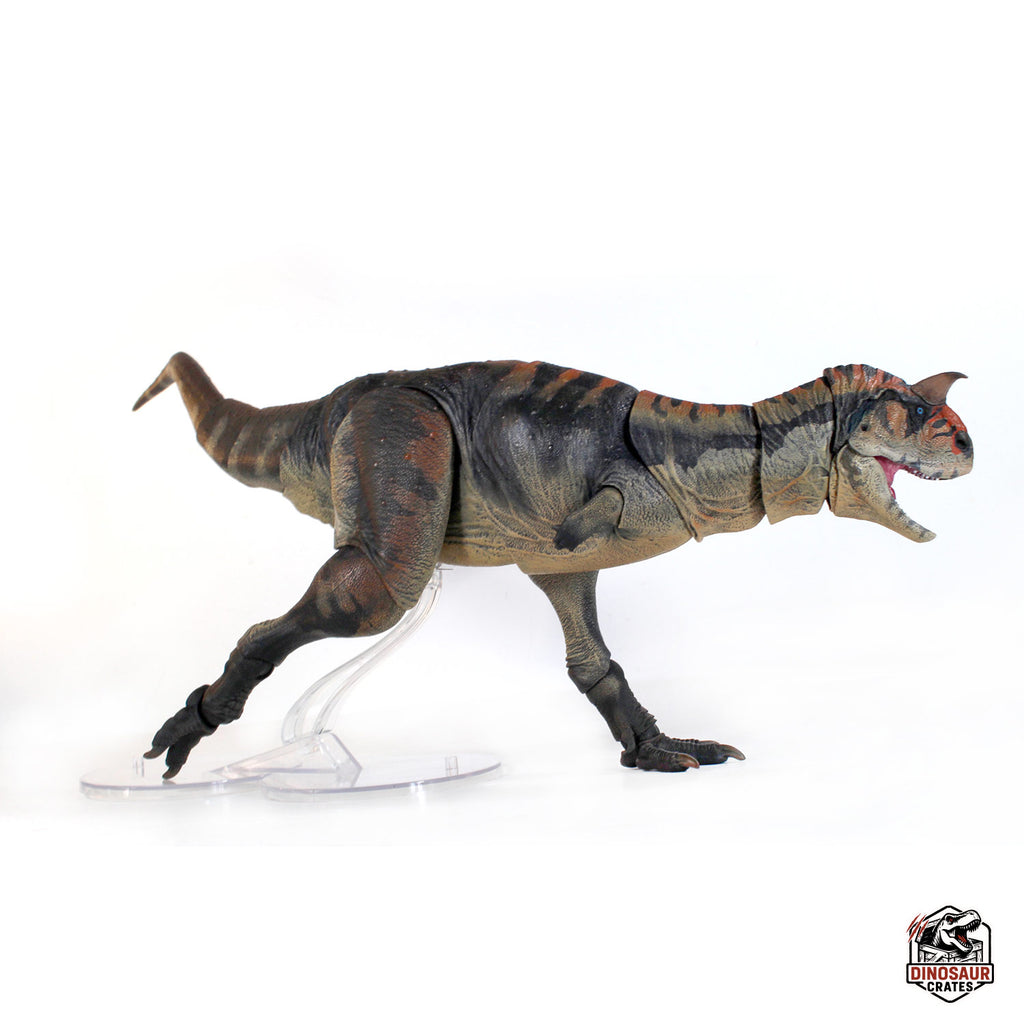 Carnotaurus Sastrei  – Beasts of the Cyberzoic (Pre-Order)