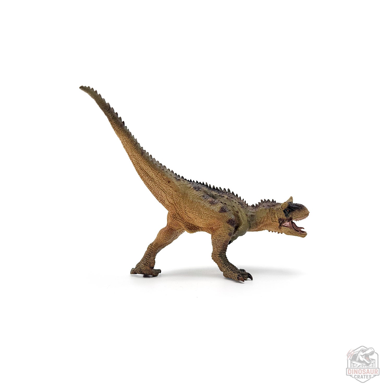 Papo Carnotaurus Dinosaur Figure