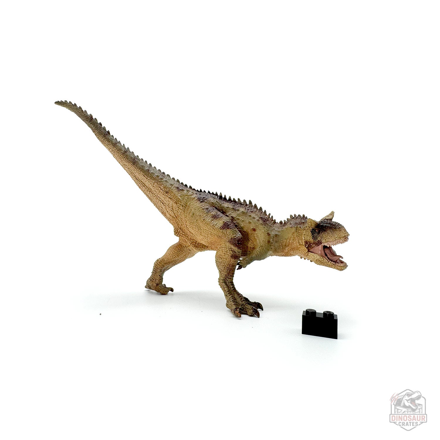 Papo Carnotaurus Dinosaur Figure