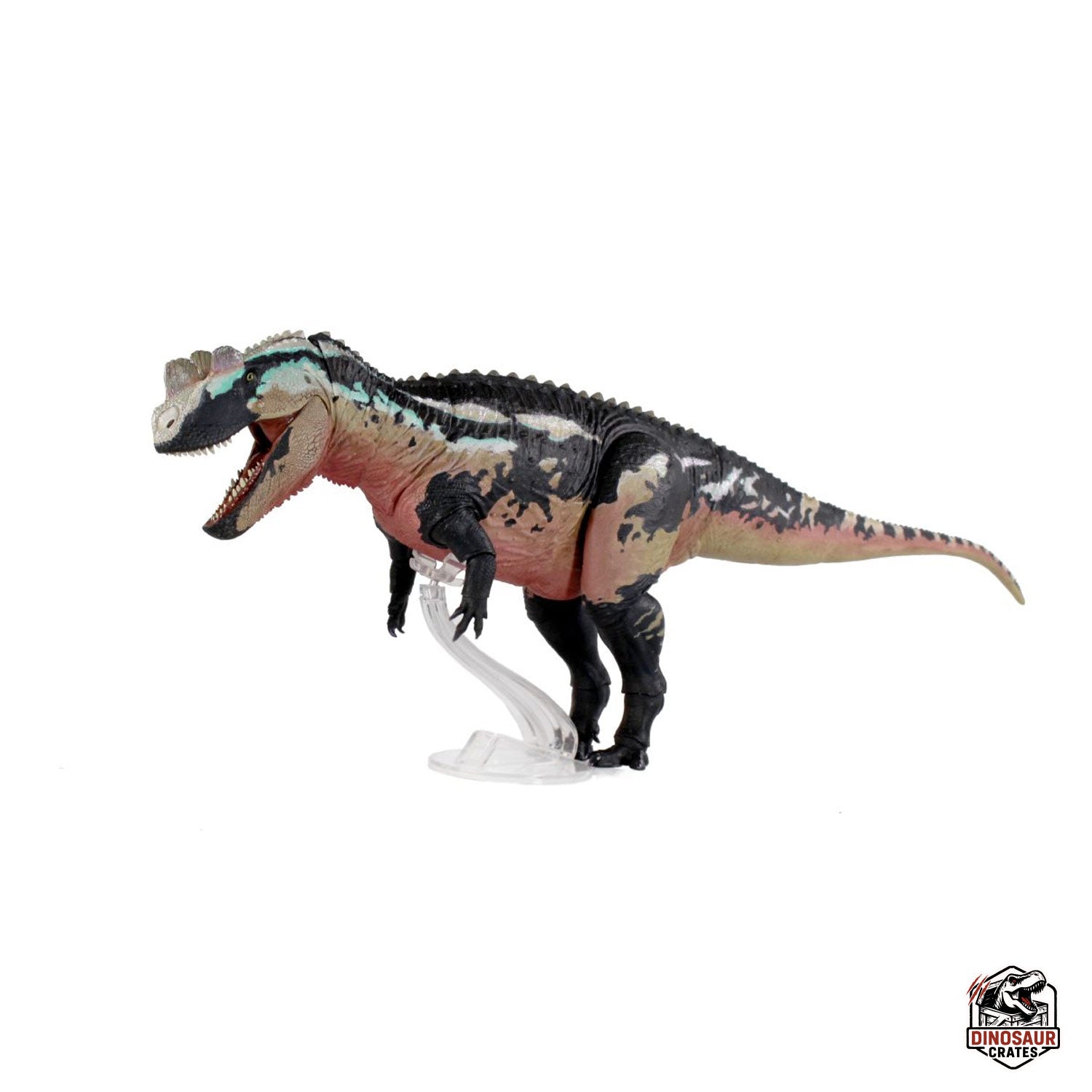Ceratosaurus Dentisulcatus  – Beasts of the Mesozoic (Pre-Order)