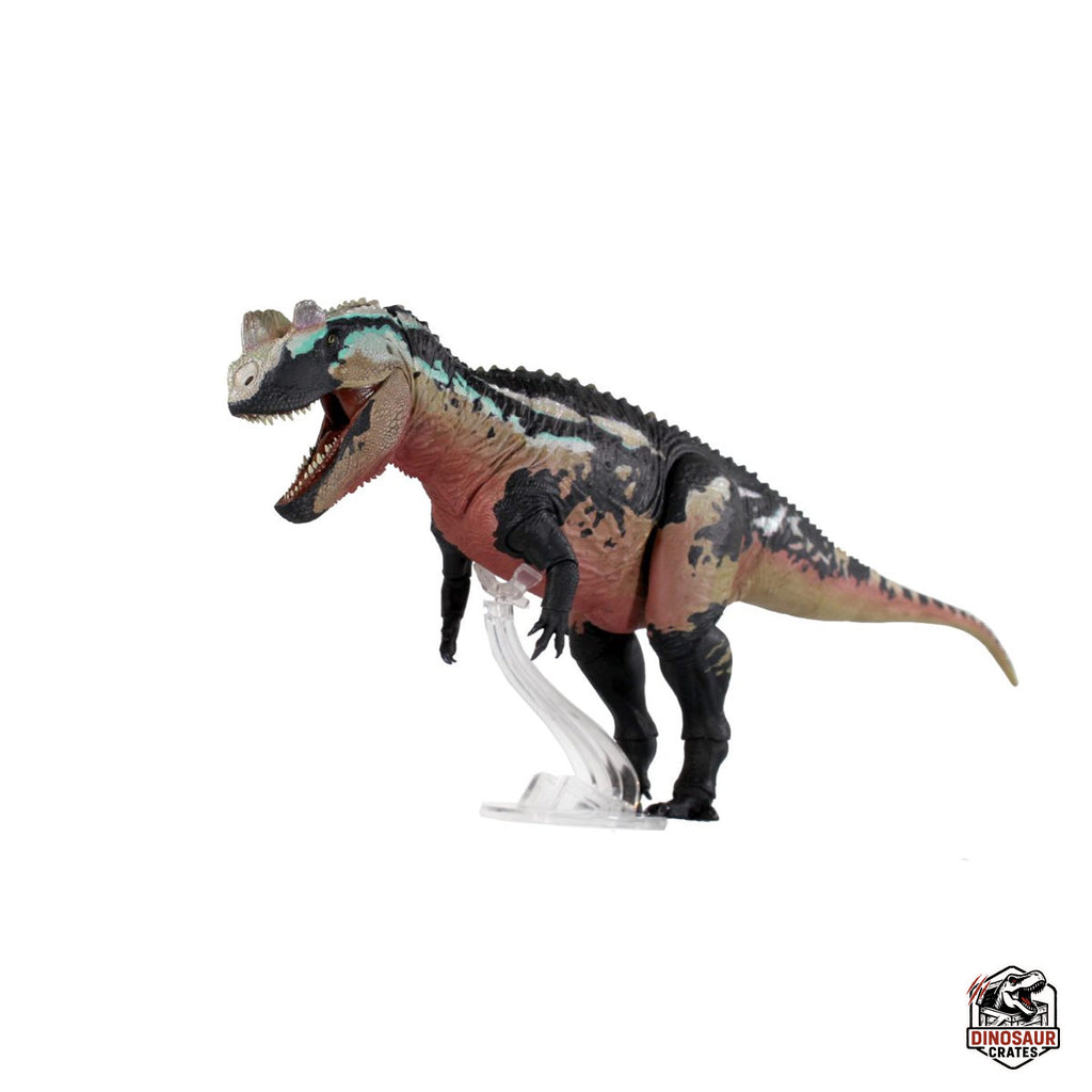 Ceratosaurus Dentisulcatus – Bêtes du Mésozoïque (Précommande)