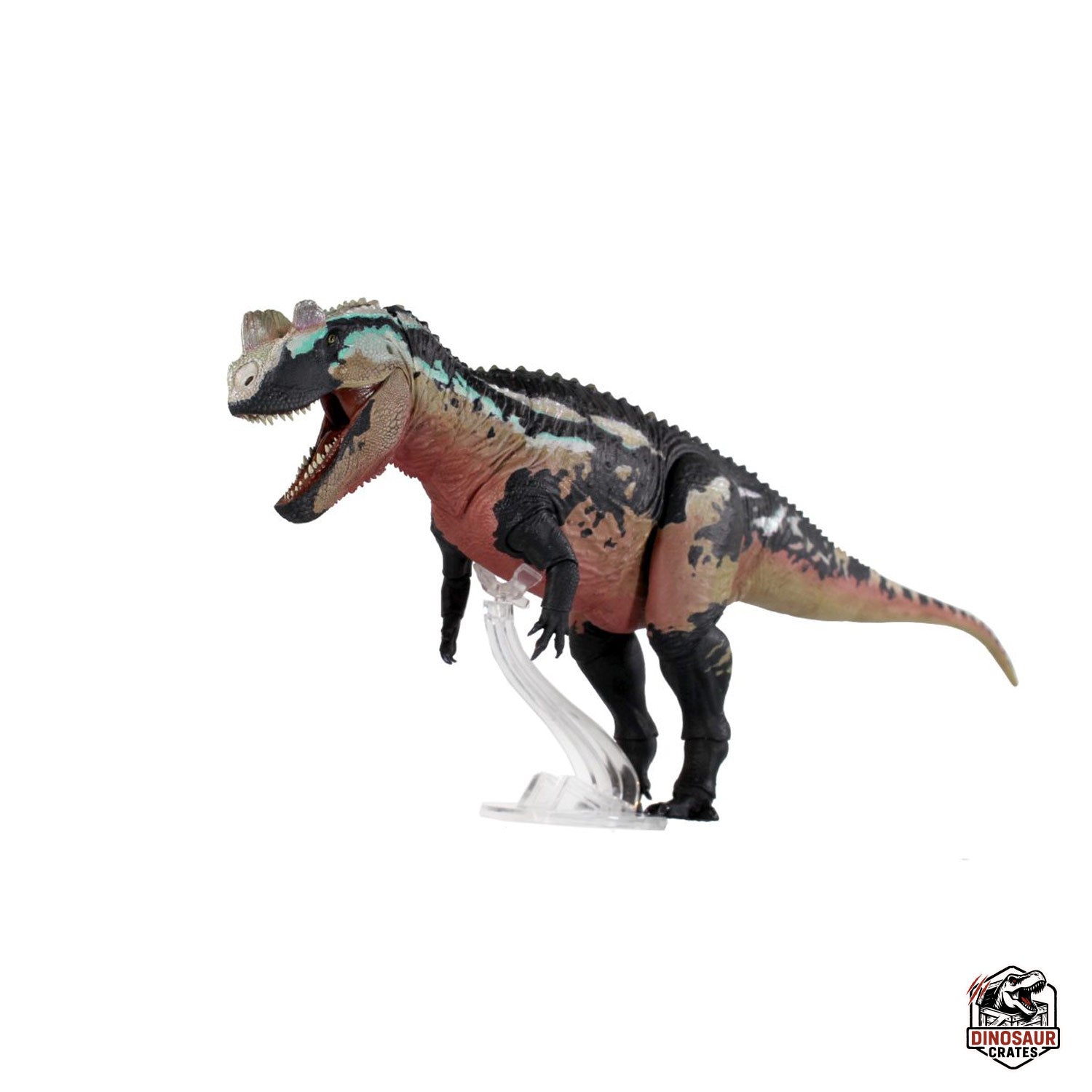 Ceratosaurus Dentisulcatus  – Beasts of the Mesozoic (Pre-Order)