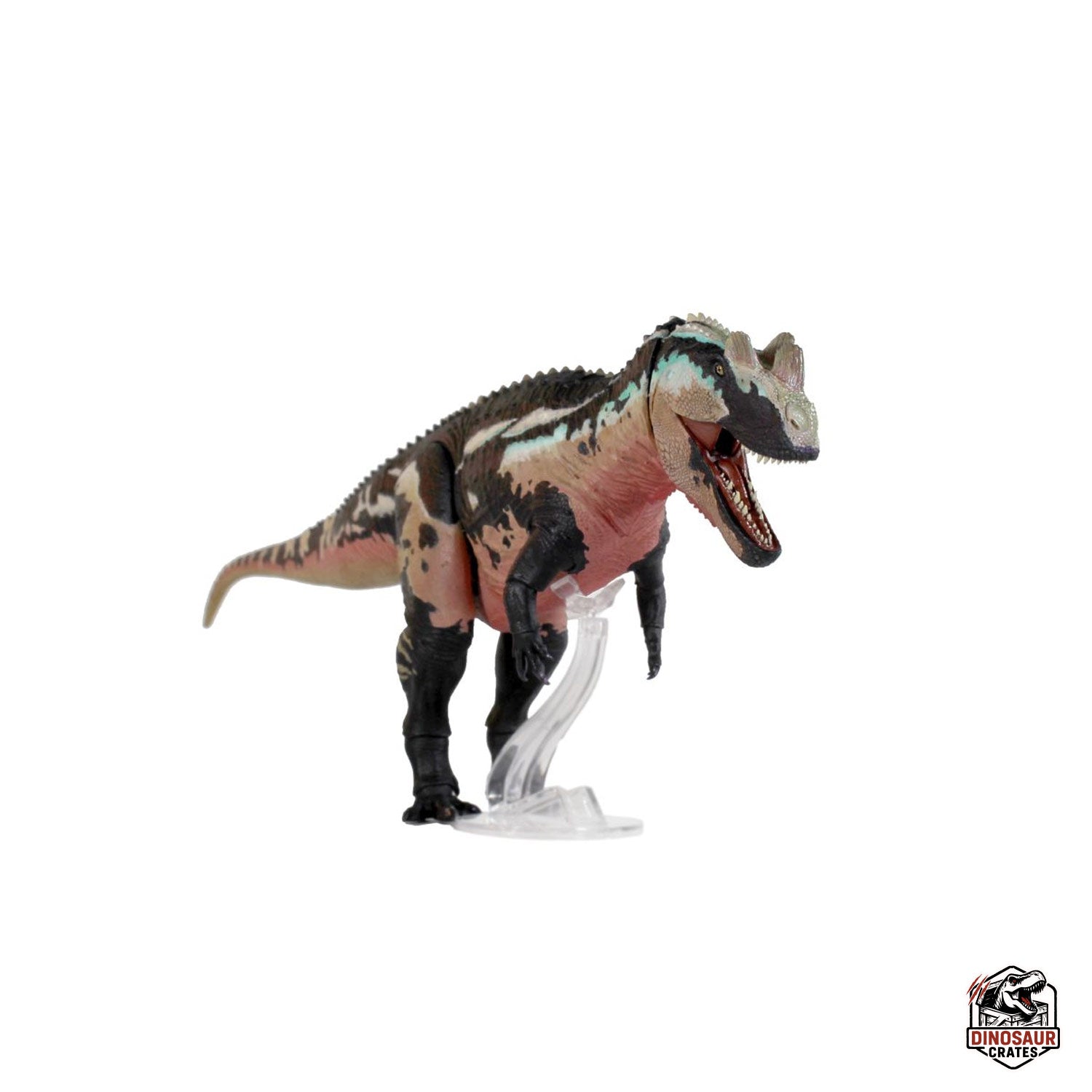 Ceratosaurus Dentisulcatus  – Beasts of the Mesozoic (Pre-Order)