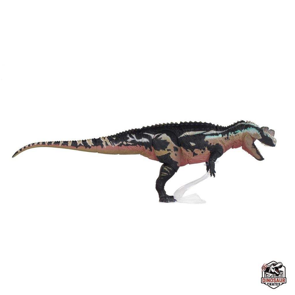 Ceratosaurus Dentisulcatus – Bêtes du Mésozoïque (Précommande)