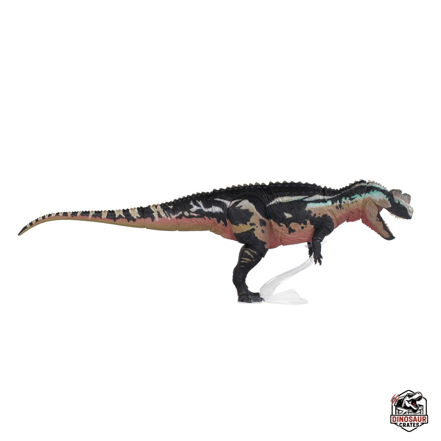Ceratosaurus Dentisulcatus  – Beasts of the Mesozoic (Pre-Order)