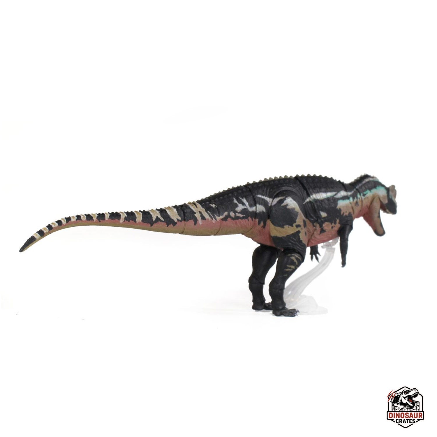 Ceratosaurus Dentisulcatus  – Beasts of the Mesozoic (Pre-Order)