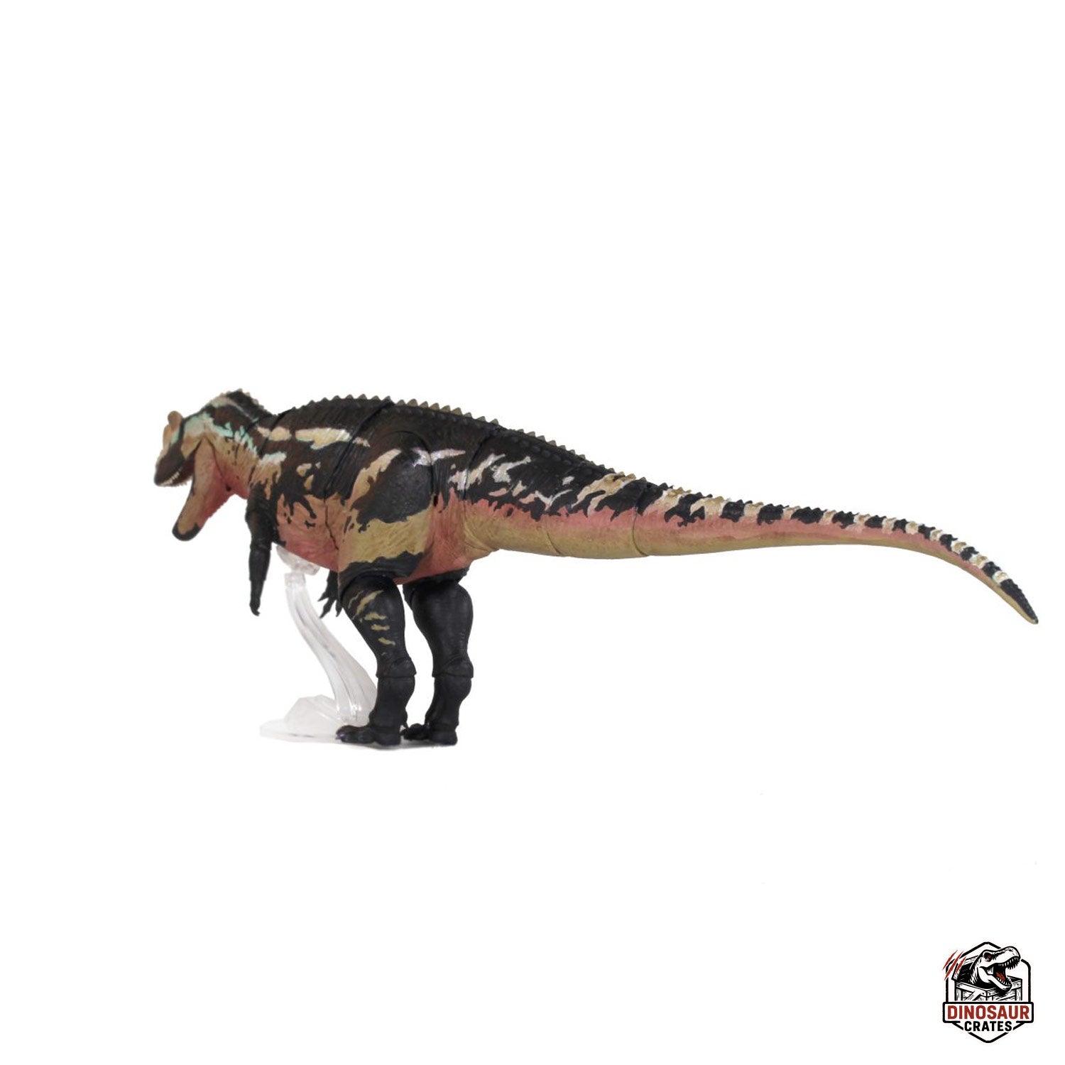 Ceratosaurus Dentisulcatus  – Beasts of the Mesozoic (Pre-Order)