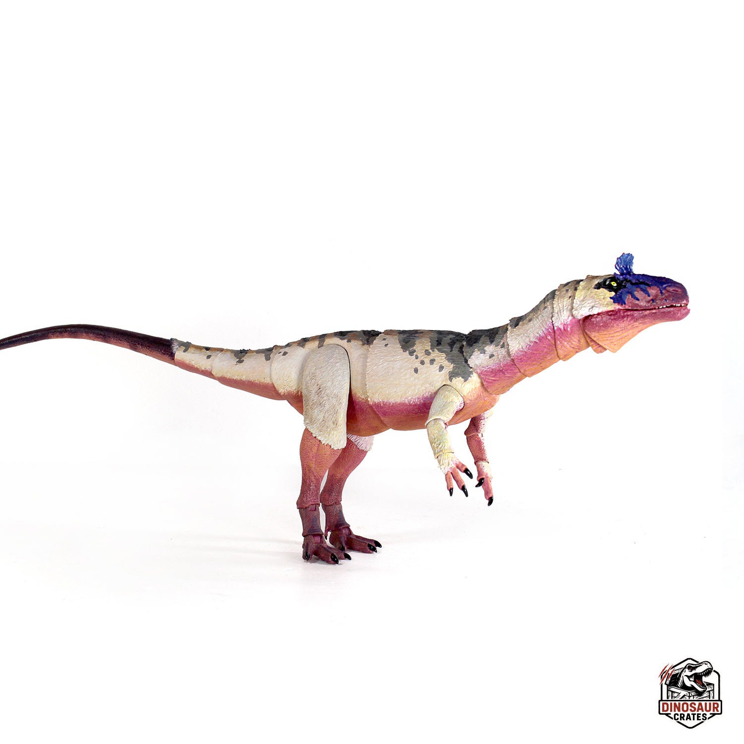 Cryolophosaurus ellioti  – Beasts of the Mesozoic