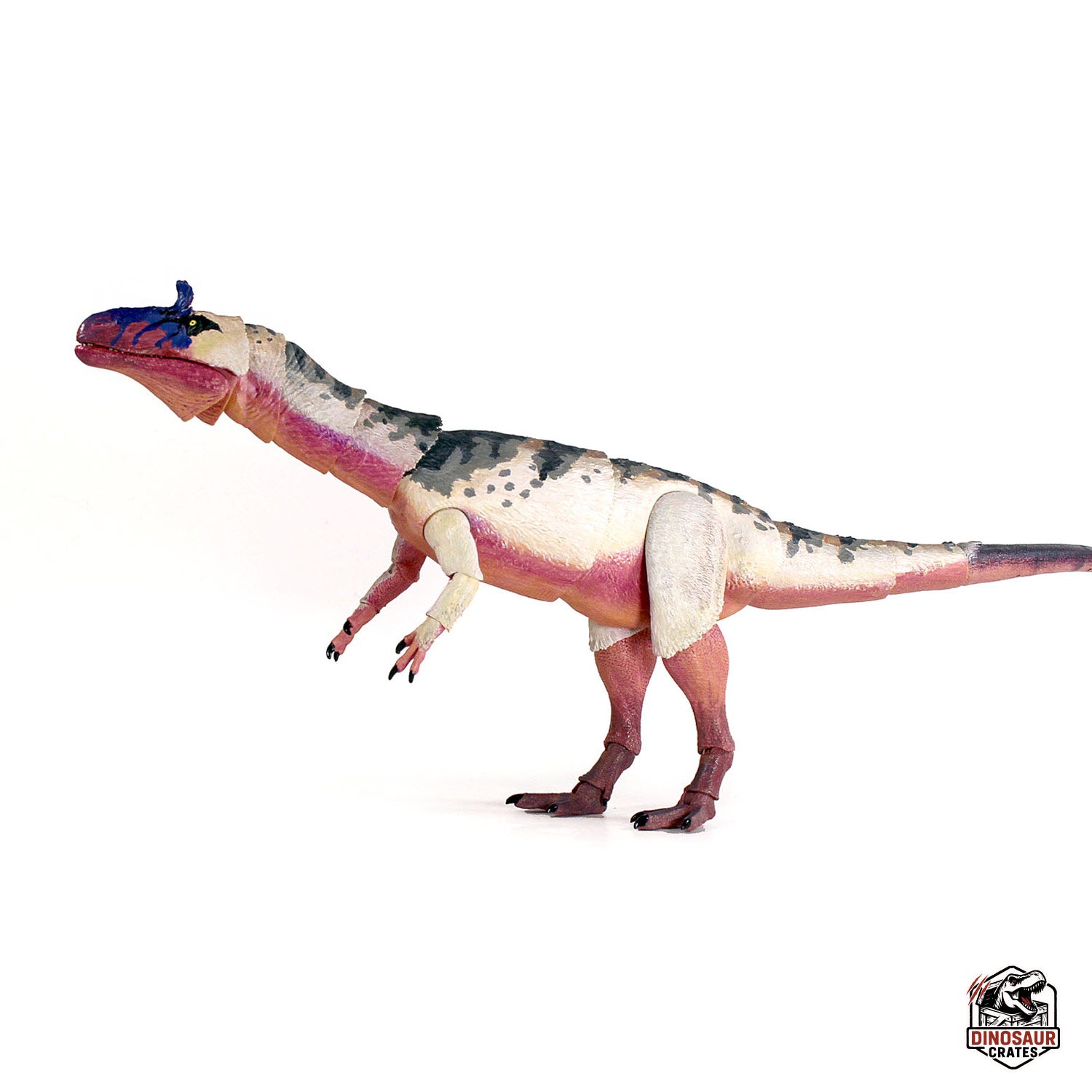 Cryolophosaurus ellioti  – Beasts of the Mesozoic