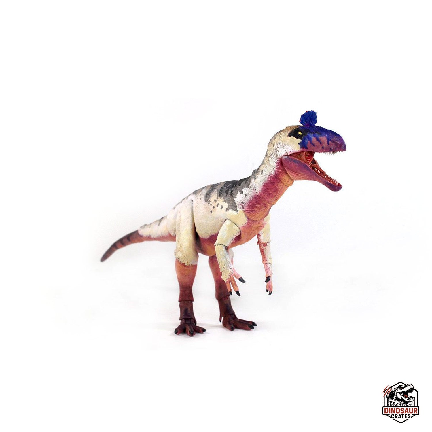 Cryolophosaurus ellioti  – Beasts of the Mesozoic
