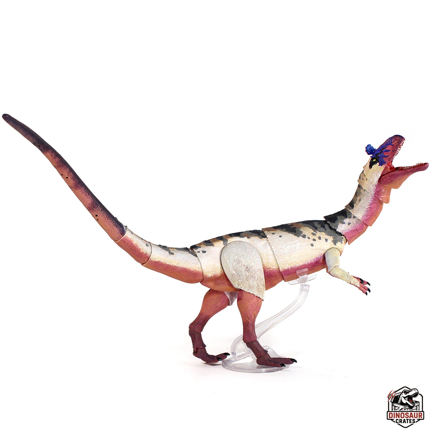 Cryolophosaurus ellioti  – Beasts of the Mesozoic