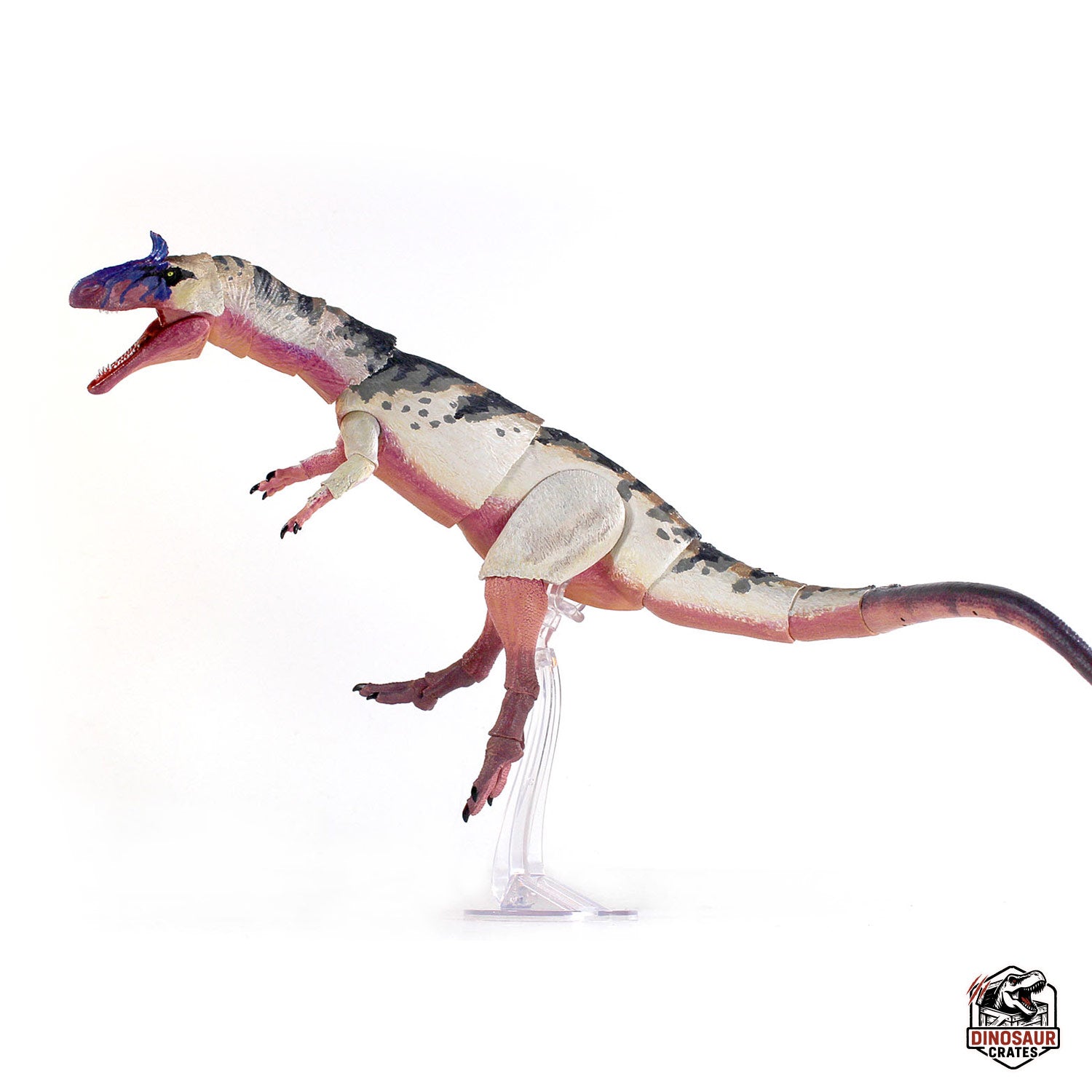 Cryolophosaurus ellioti  – Beasts of the Mesozoic