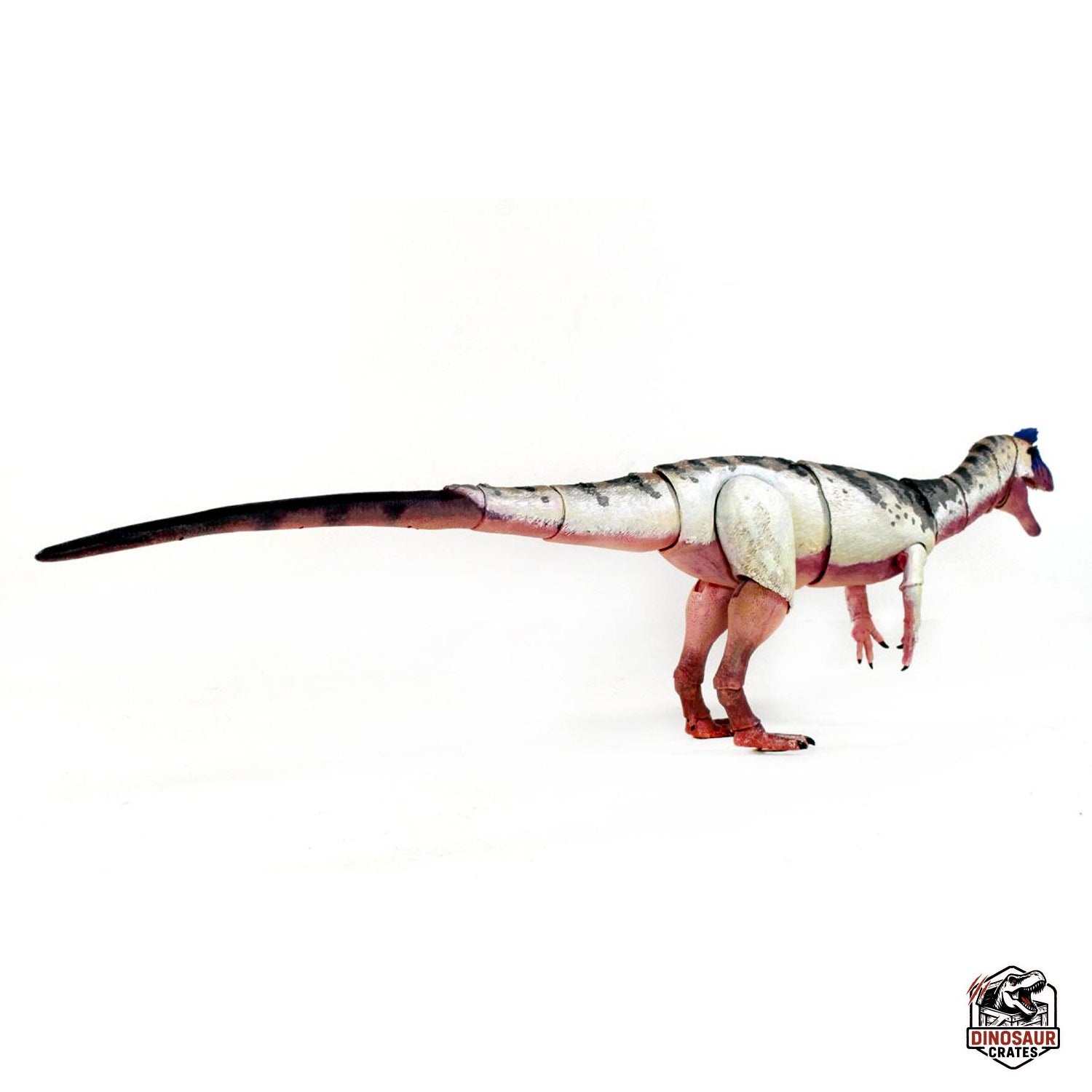 Cryolophosaurus ellioti  – Beasts of the Mesozoic