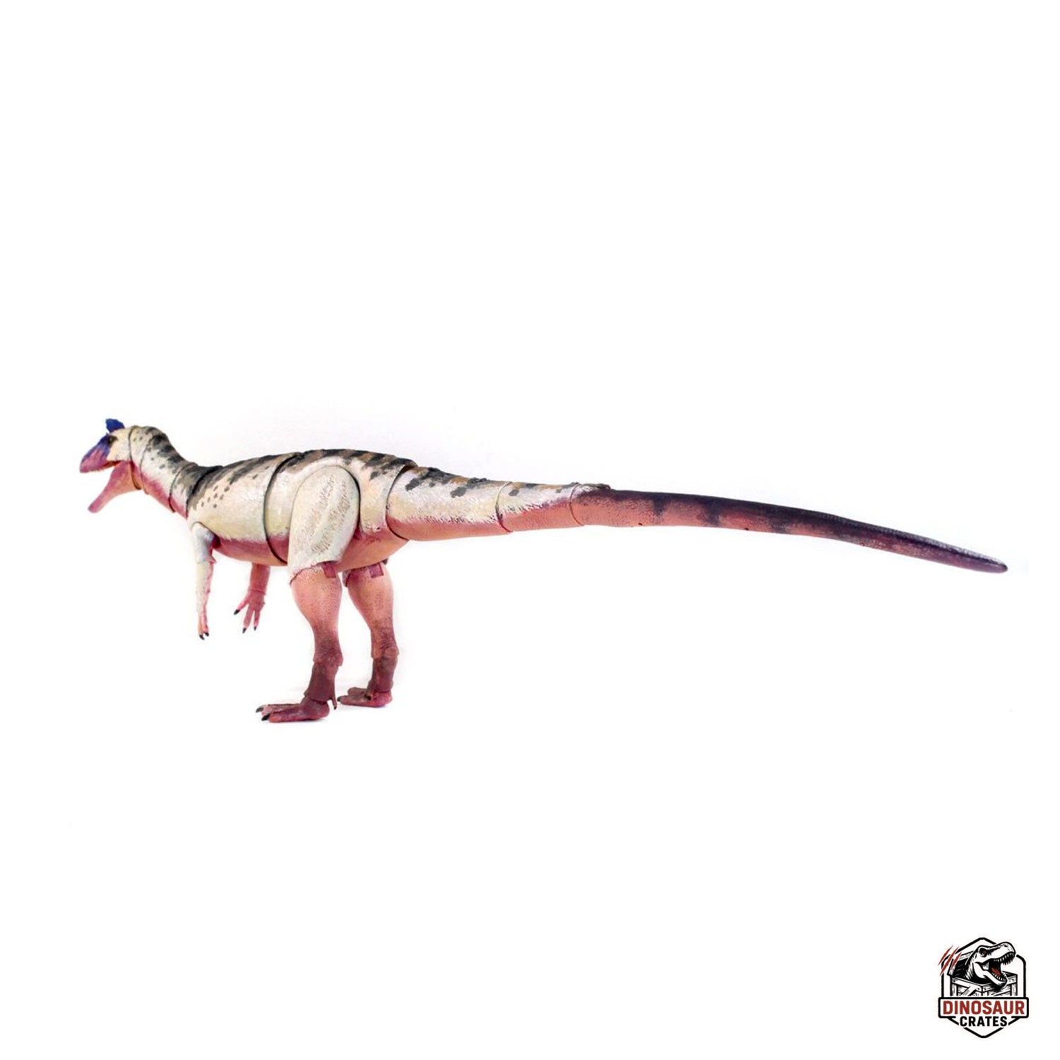Cryolophosaurus ellioti  – Beasts of the Mesozoic