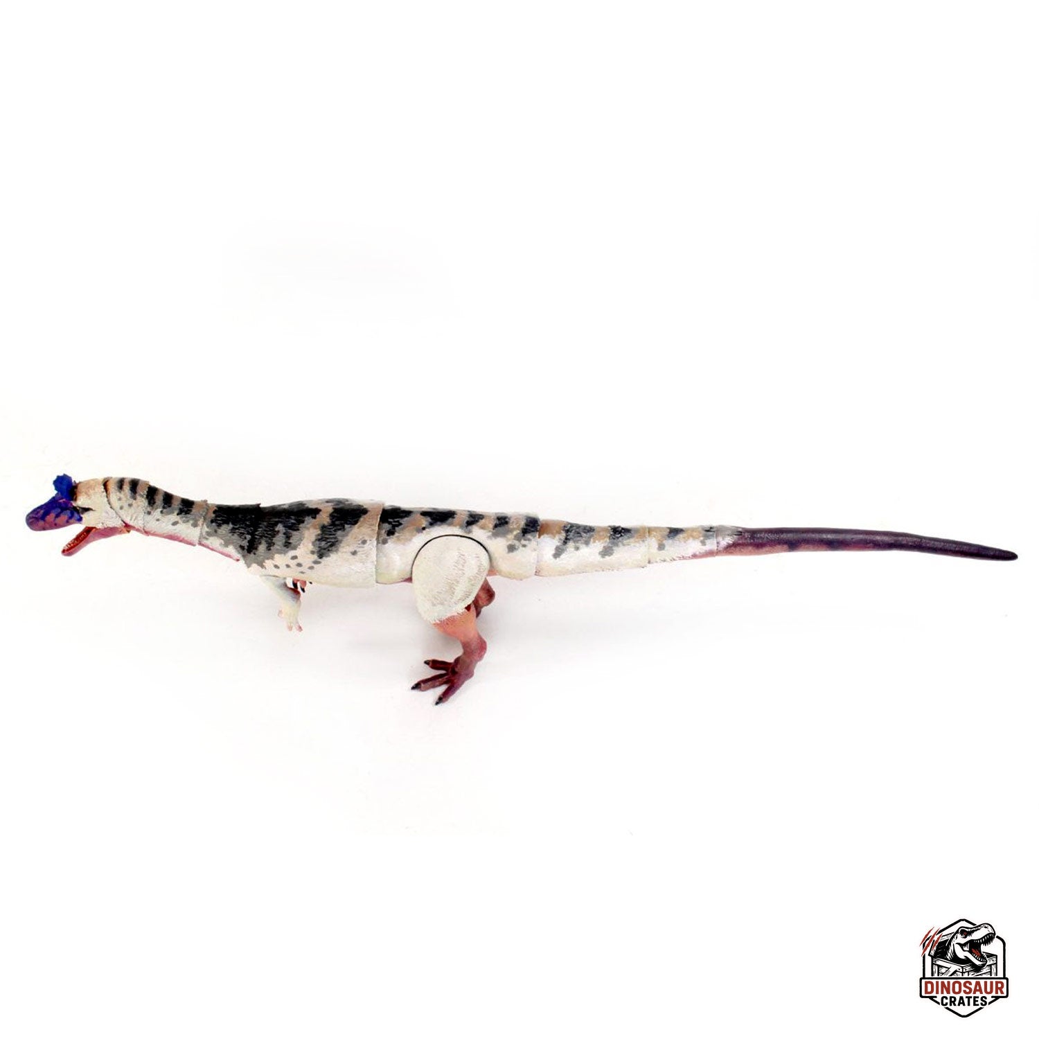 Cryolophosaurus ellioti  – Beasts of the Mesozoic
