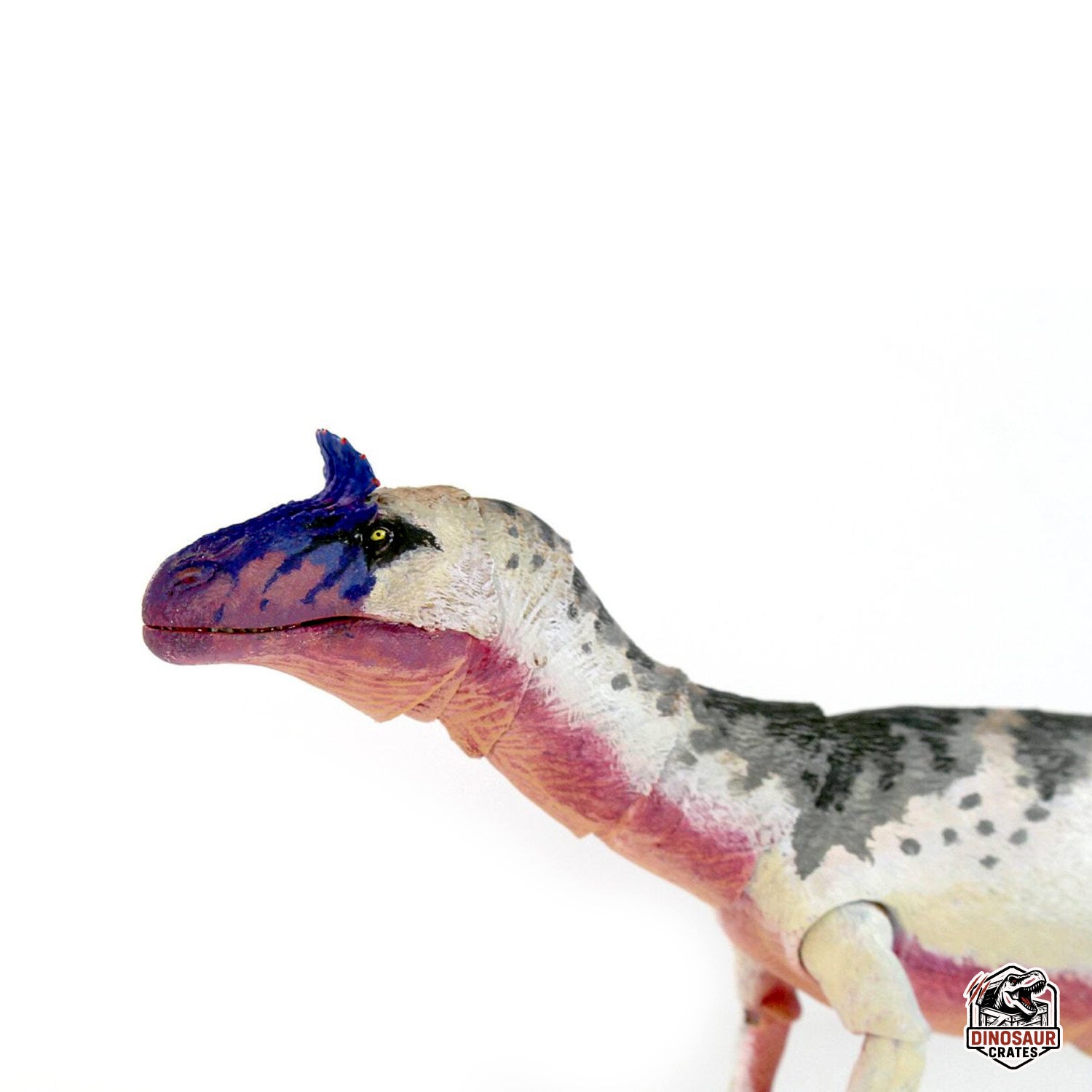 Cryolophosaurus ellioti  – Beasts of the Mesozoic