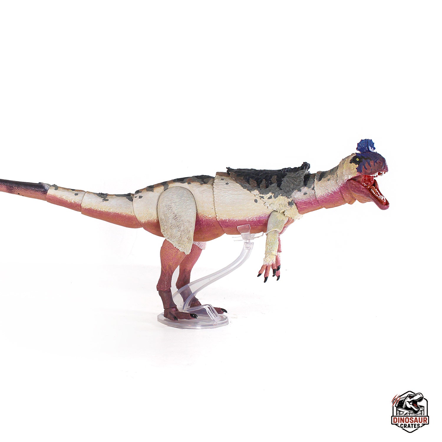 Cryolophosaurus ellioti  – Beasts of the Mesozoic