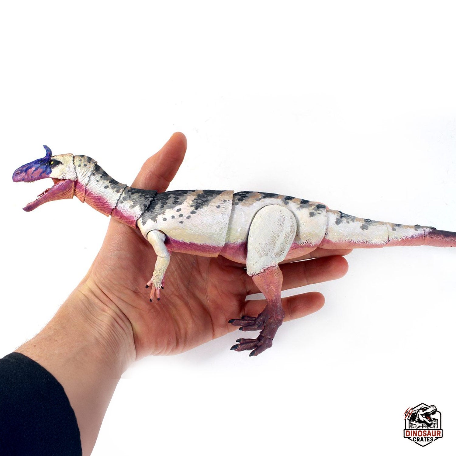 Cryolophosaurus ellioti  – Beasts of the Mesozoic