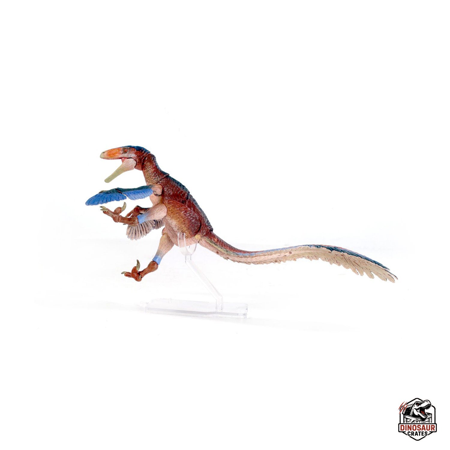 Deinonychus antirrhopus – Beasts of the Mesozoic