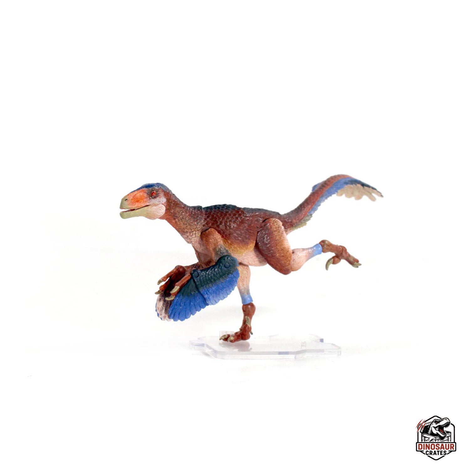 Deinonychus antirrhopus – Beasts of the Mesozoic