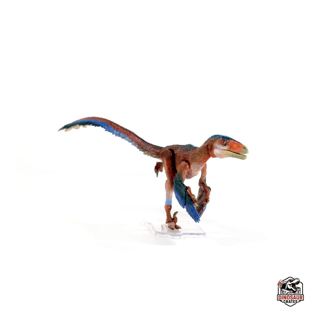 Deinonychus antirrhopus – Beasts of the Mesozoic