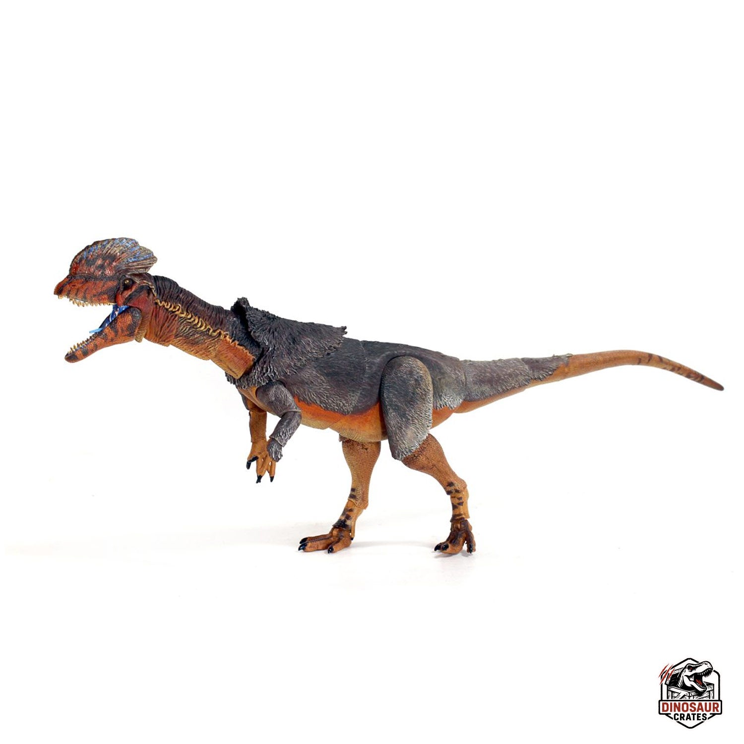 Dilophosaurus wetherilli  – Cyberzoic (PREORDER)