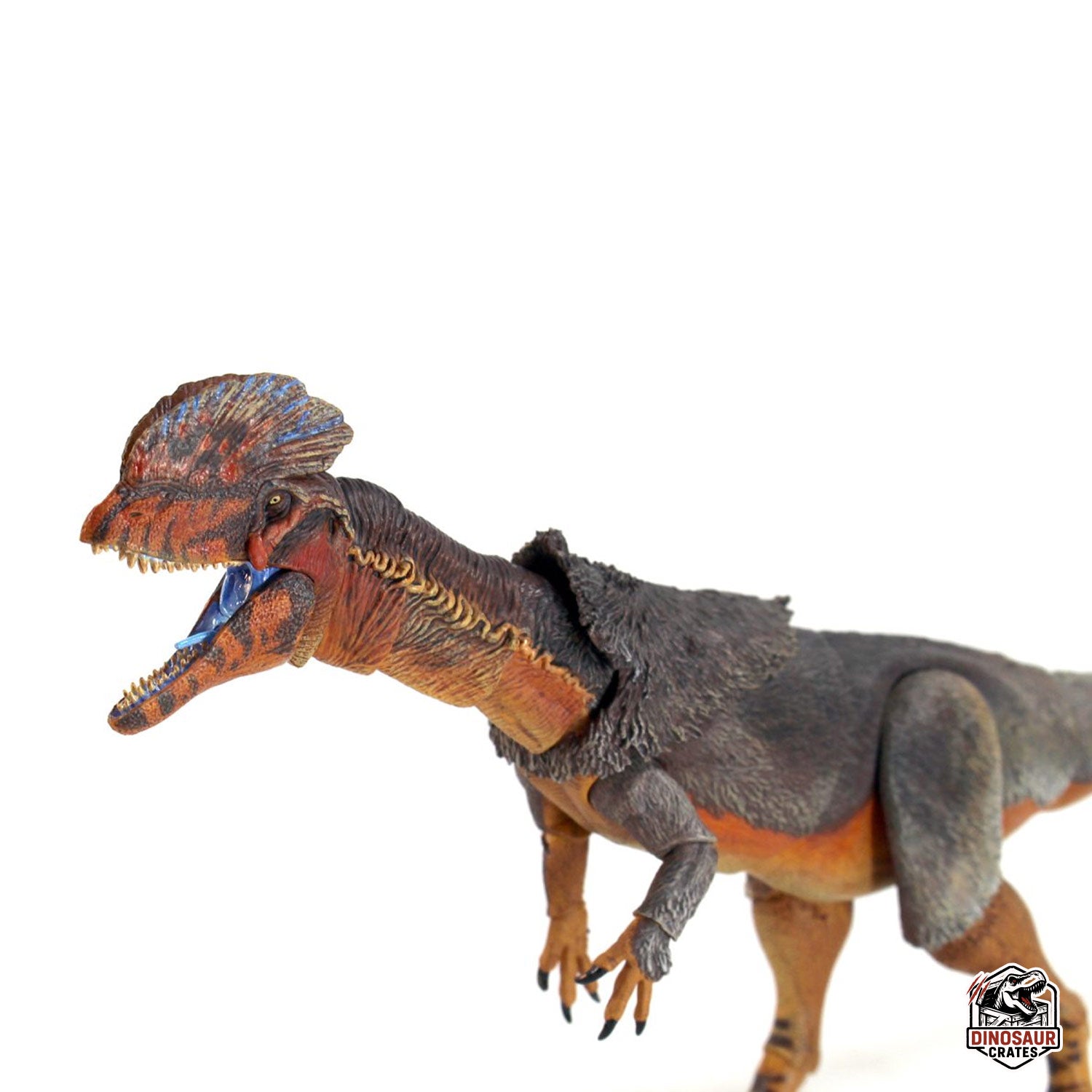 Dilophosaurus wetherilli  – Cyberzoic (PREORDER)