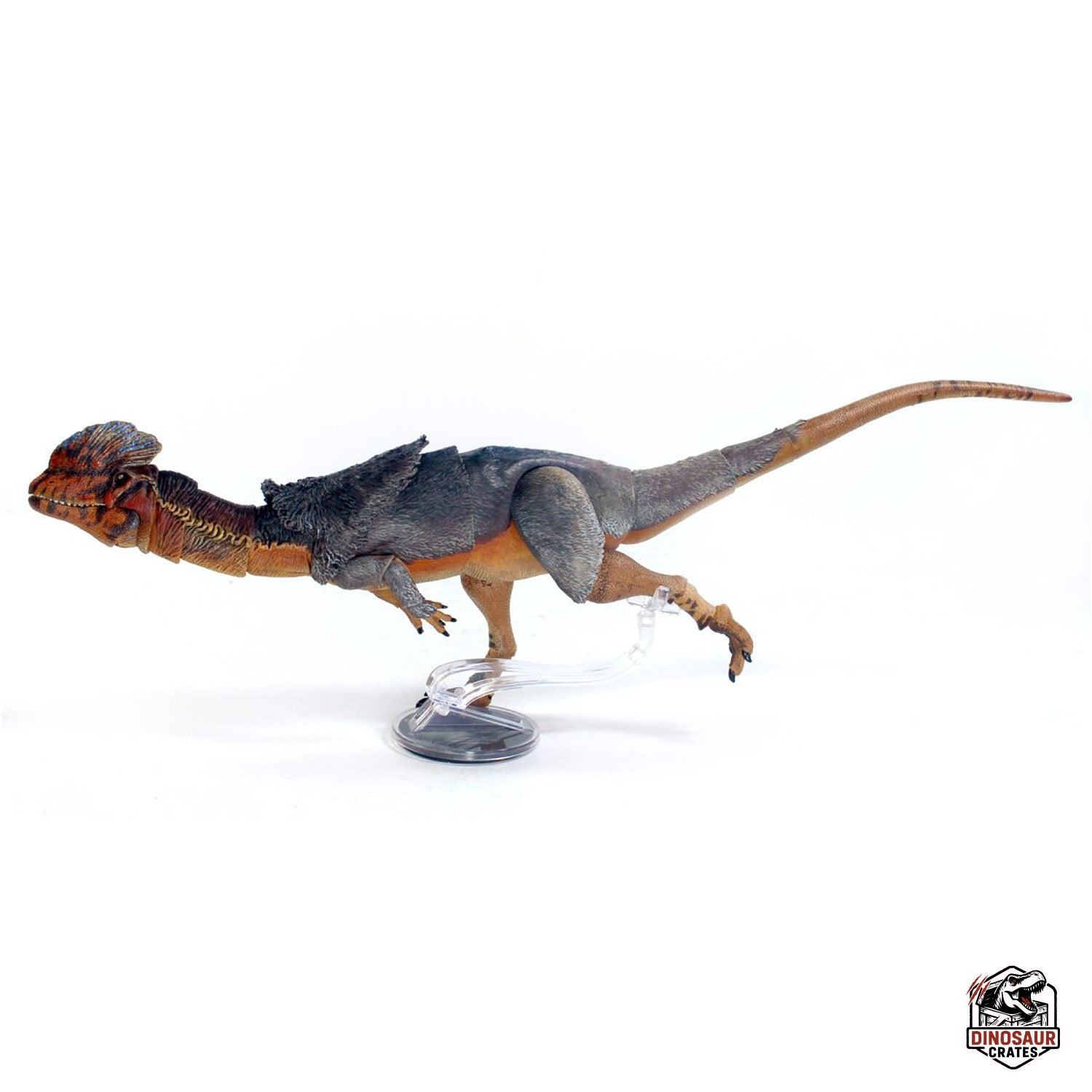 Dilophosaurus wetherilli  – Cyberzoic (PREORDER)
